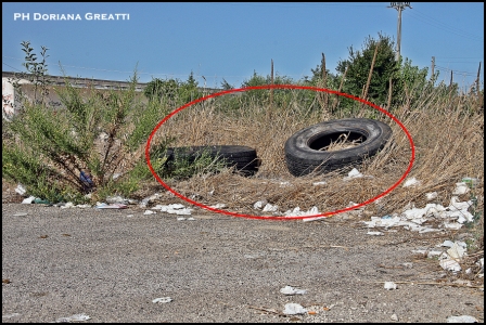 Potatura alberi, Idealista: "Azione scellerata e violenta. Amministrazione incapace"