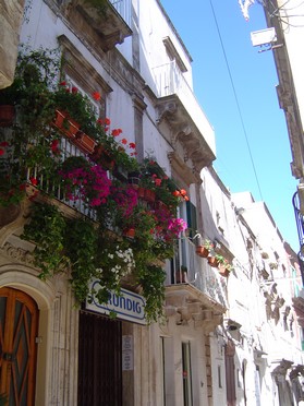 Chi semina si augura sempre di raccogliere