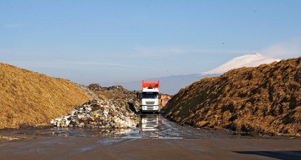 Donatella Infante, candidata Consigliere SEL