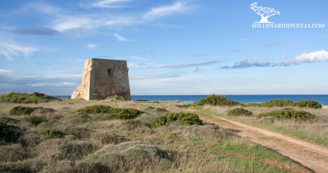 Gli appuntamenti del weekend con “I Millenari di Puglia”