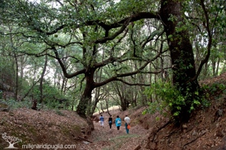 Alessia Terruli dello Sporting Club ha trionfato nell'under 12 di Palagiano