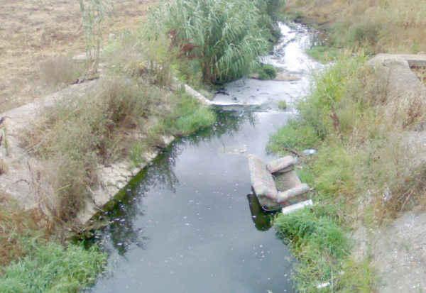 Raffaella Spina voterà Gianfranco Chiarelli