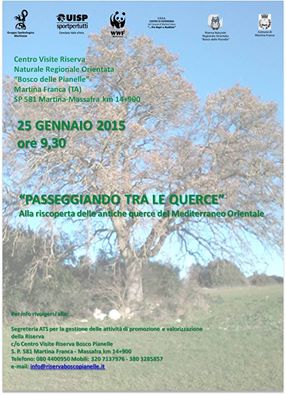 Passeggiando tra le querce. Escursione e spettacolo di burattini nella Riserva Bosco Pianelle