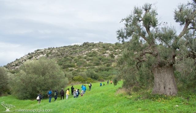 Gli appuntamenti nel prossimo weekend con le escursioni de “I Millenari di Puglia”