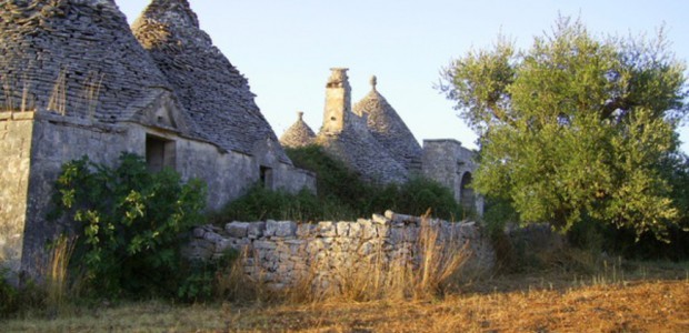 La Pulizia dei fondi agricoli deve essere effettuata entro il 15 giugno. Pubblicata l’ordinanza