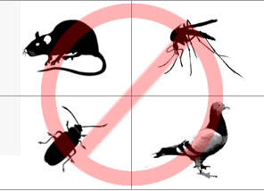 Disinfestazione: il calendario degli interventi