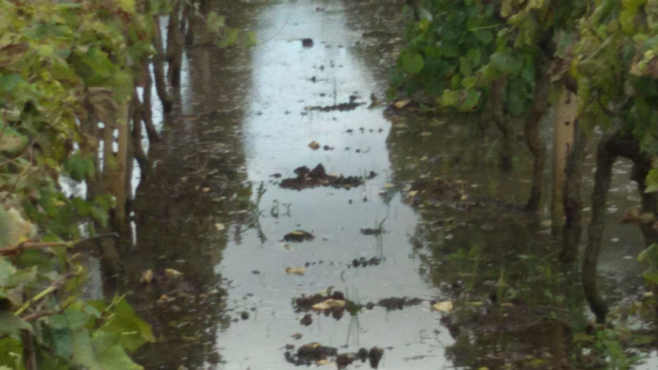 Sequestro depuratore, Idealista: “Questi sono i risultati del governo Vendola”