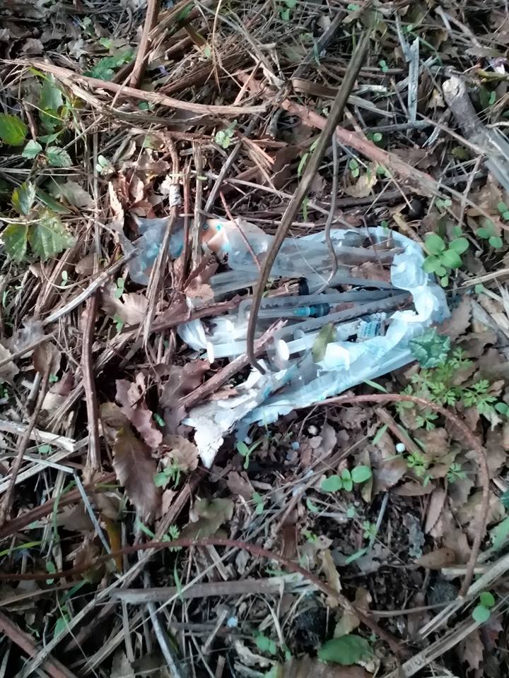 Ripulito il bosco Papacidd