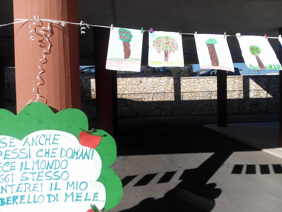 Festa dell’albero: Locorotondo pianta 12 alberi della macchia mediterranea