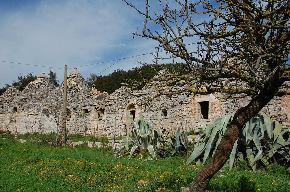 Natura che cura. Domenica iniziativa all’Oasi WWF Monte Sant’Elia