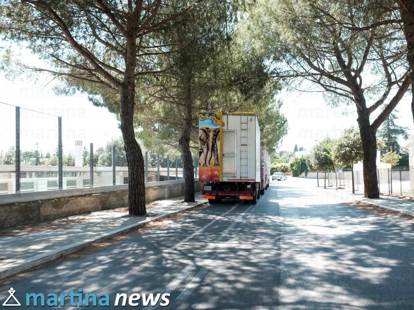 San Martino, si entra nel vivo. Al Pergolo arrivate le prime giostre