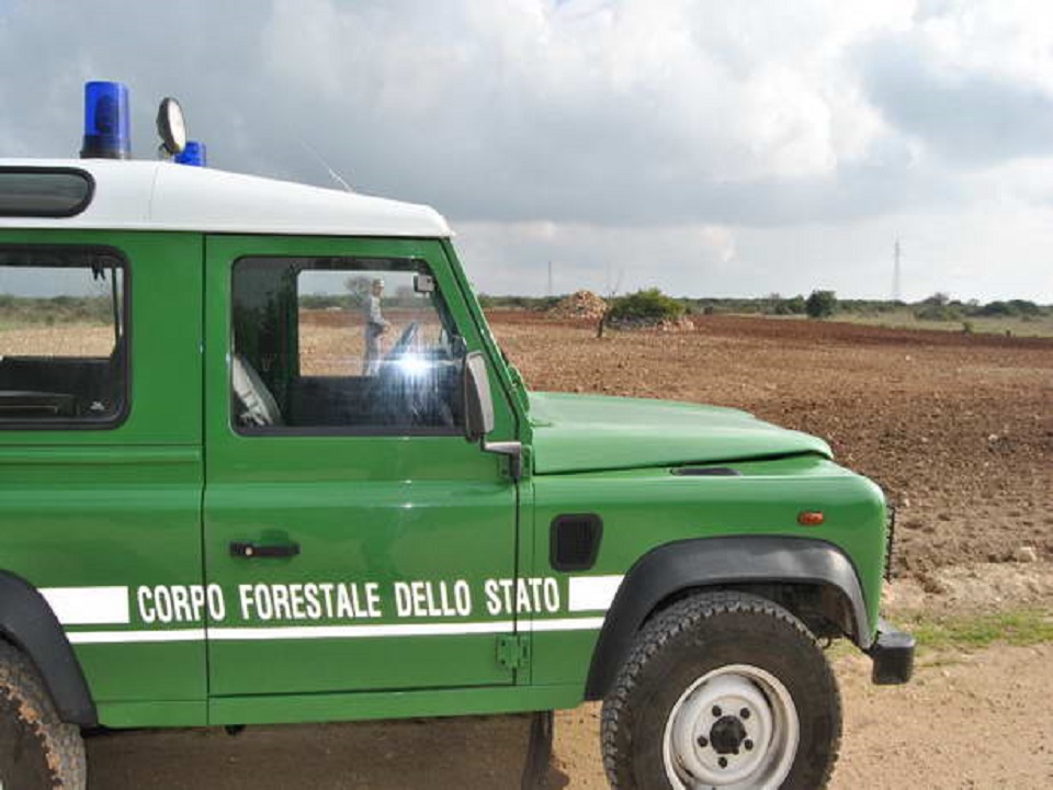 Droga sulla Francavilla-Ostuni. Forestali sequestrano eroina ad un 29enne
