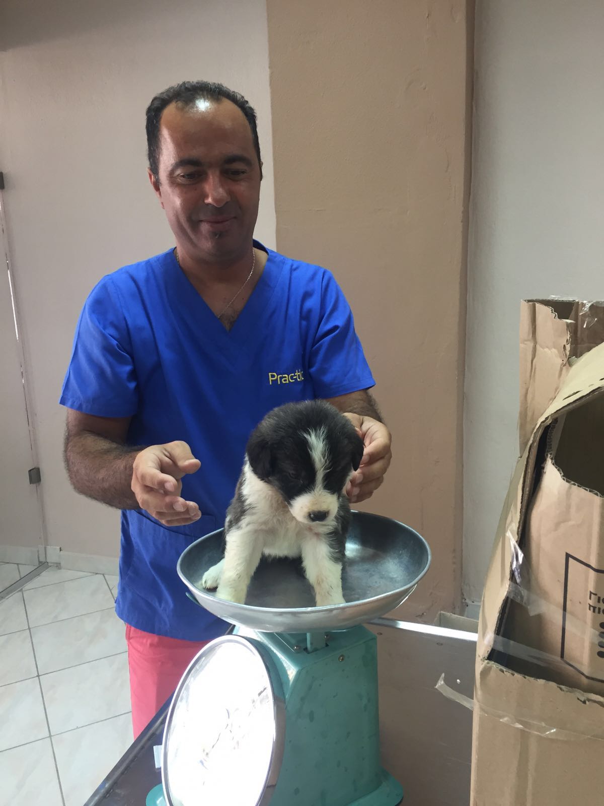 L’on. Nicola Ciracì salva cinque cuccioli dall’annegamento