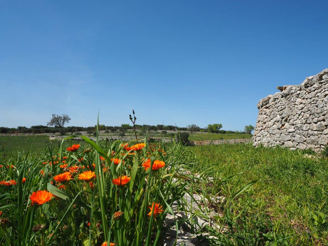 Incendio ai Giardini di Pomona. Belloni: “Bilancio possibile solo a primavera”