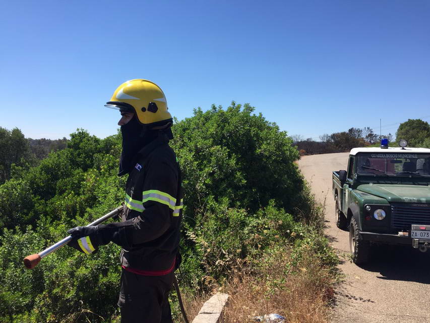 Bosco delle Pianelle. Giovedì presentazione del sistema di monitoraggio incendi
