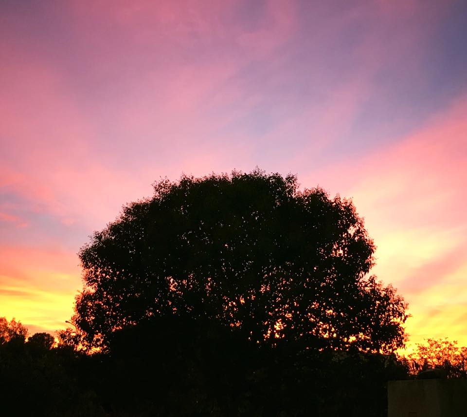 Il tramonto di domenica in Valle d’Itria. Le foto dei lettori e come si è formato