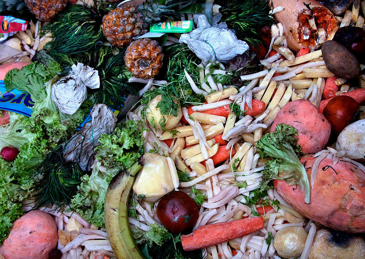 Spreco alimentare in Puglia: il 53% dei rifiuti alimentari arriva dalle famiglie