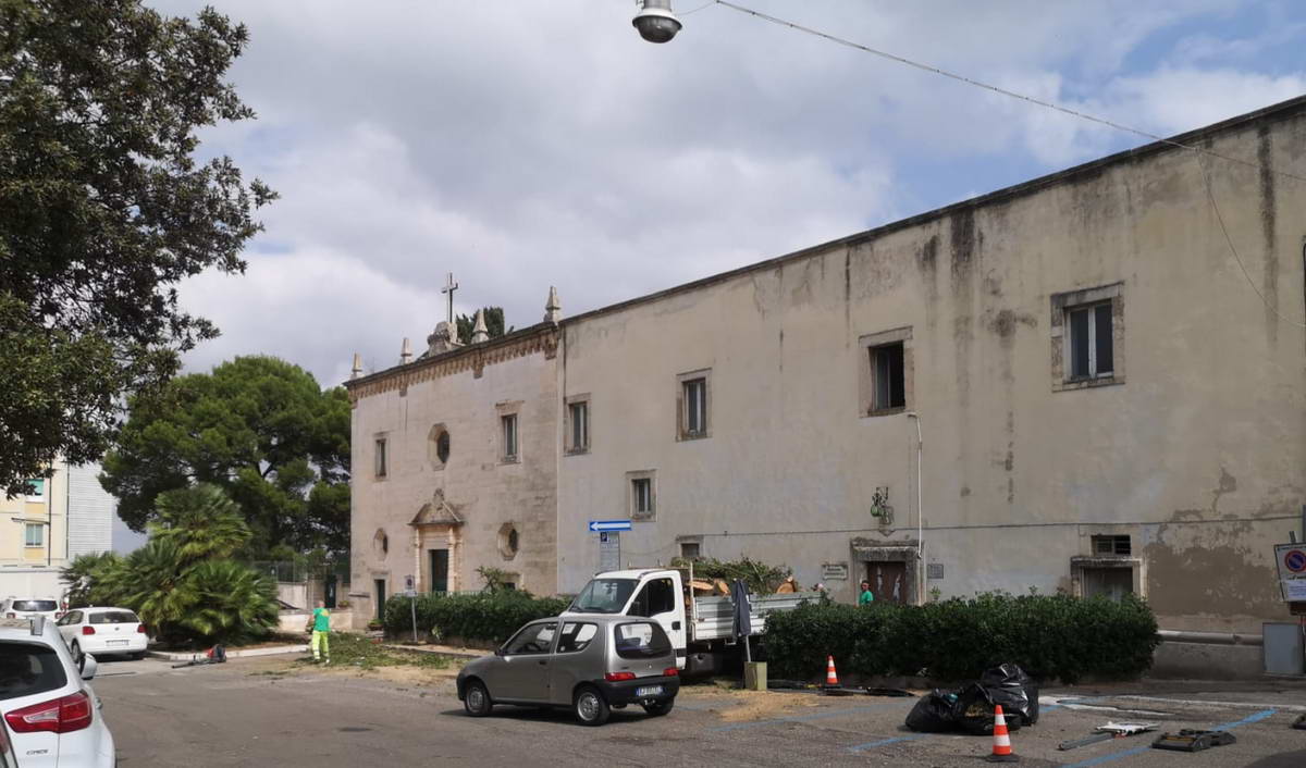 Piazza San Francesco. Via i pini per motivi di sicurezza