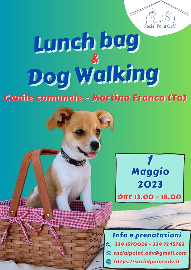 Canile comunale: lunedì 1° maggio “Lunch bag & Dog walking”