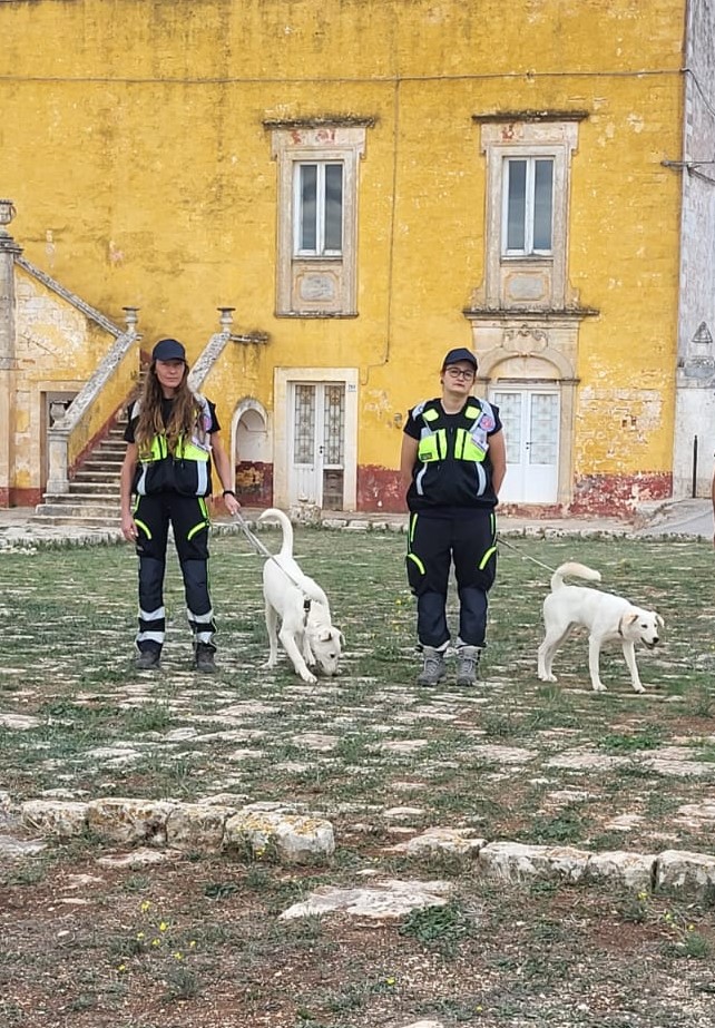 Due cani del canile addestrati per riconoscere il batterio della Xylella