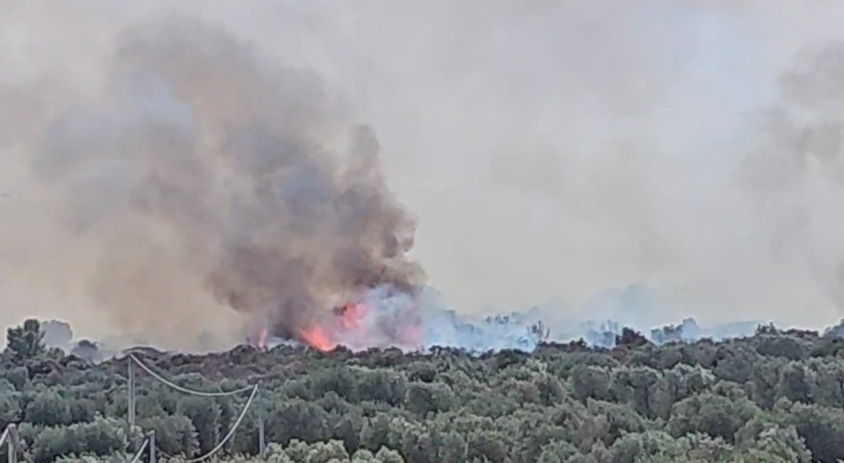 Vasto incendio a Monte Fellone. Due canadair per spegnerlo
