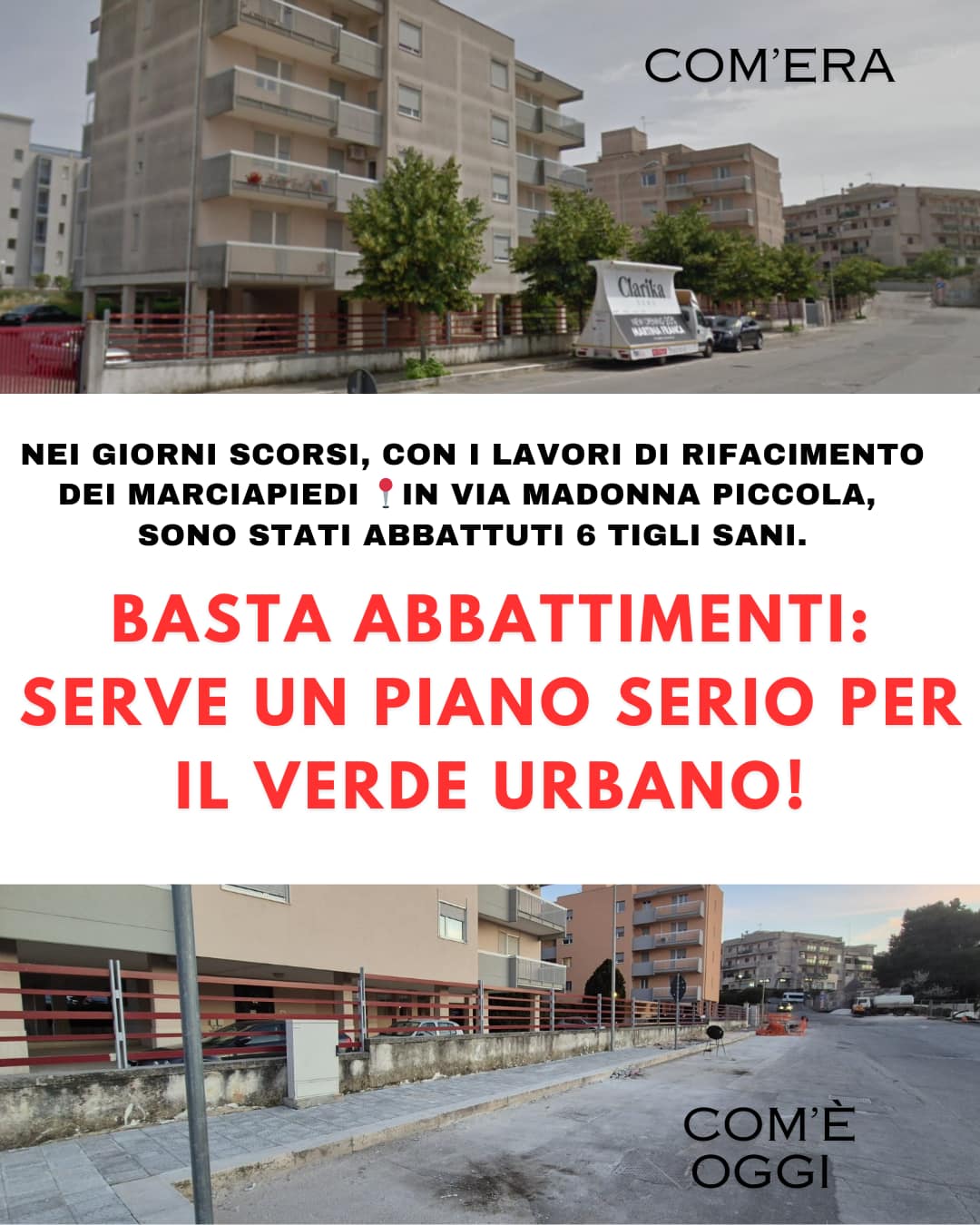 Alberi di via Madonna Piccola. Legambiente e WWF: “Ora risposte concrete”