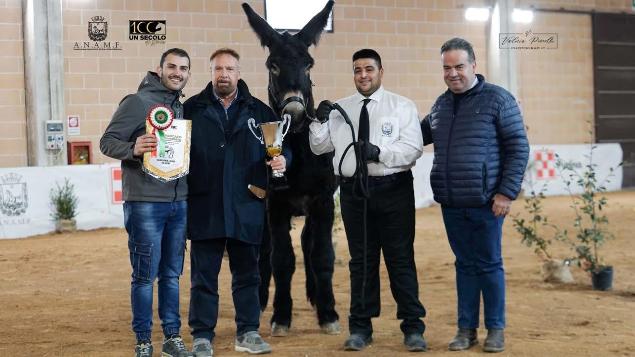 È Tarallino il vincitore del 70simo mercato-concorso