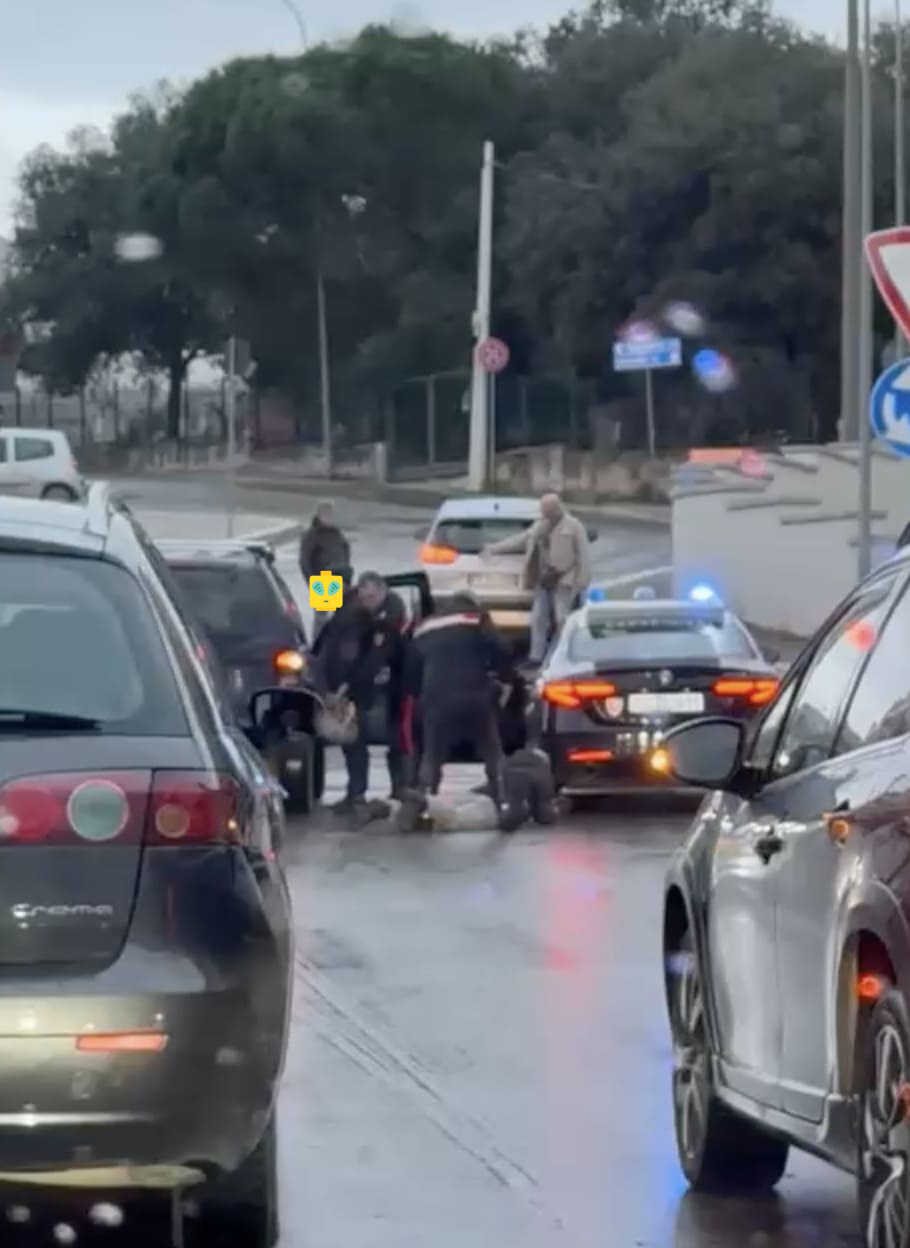 Ladri di capasoni arrestati dai carabinieri. Il video è virale