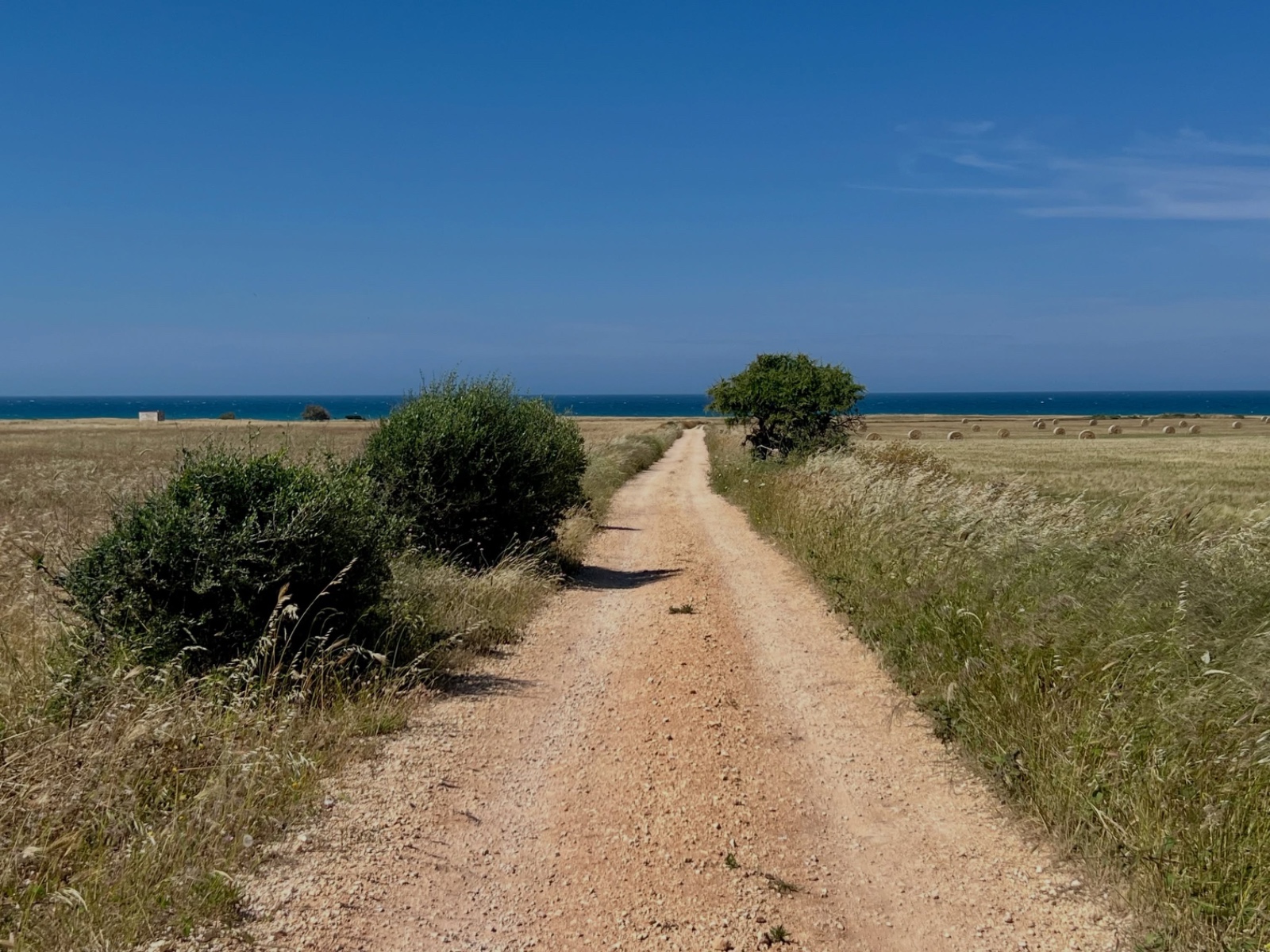 Camminare per conoscere. Il 28 giugno una passeggiata sulla costa ostunese